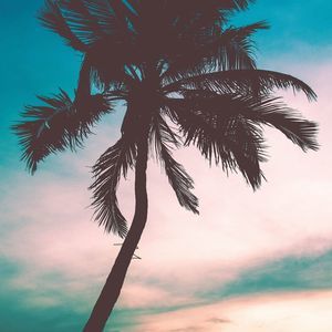 Meet your Posher, Cj